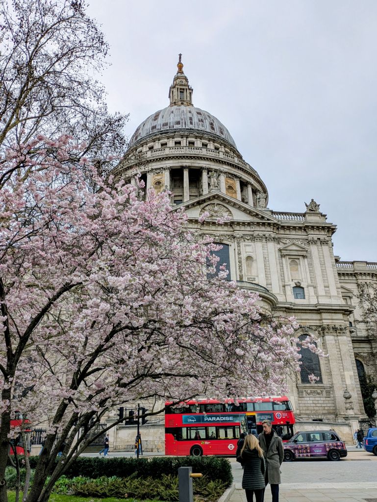 PXL_20260312_115811211~2